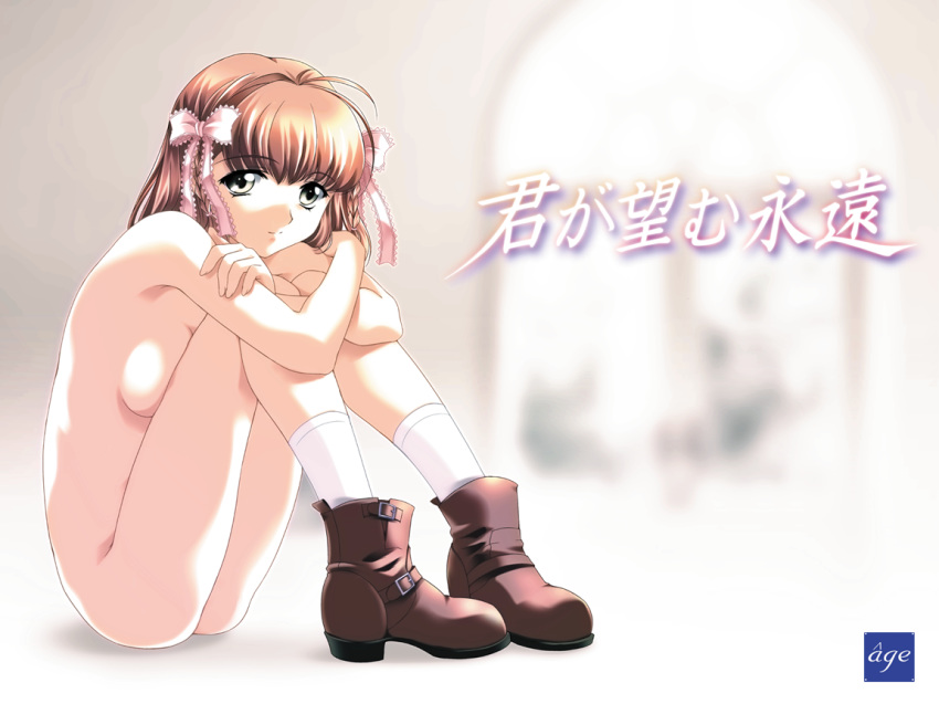 Unveiling Haruka’s Naked Thighs – The Translation Request