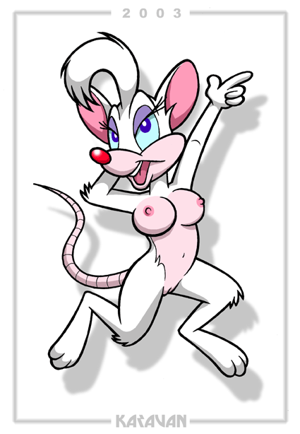 Furry Karavan: Pinky’s Naughty Solo