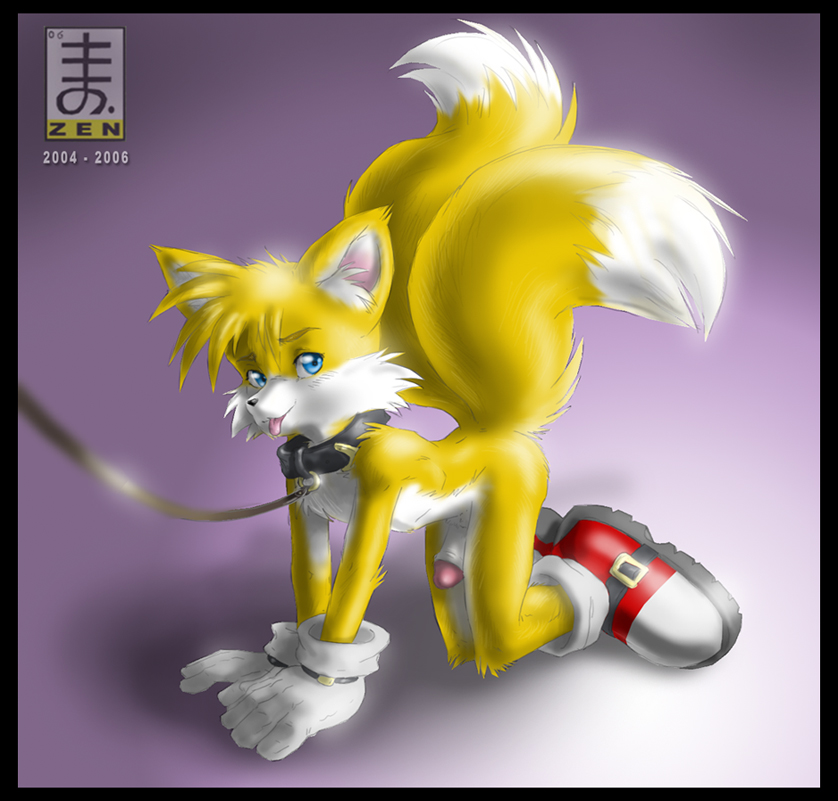 Furry Fury – Sonic with Blue Eyes and Fox Tail