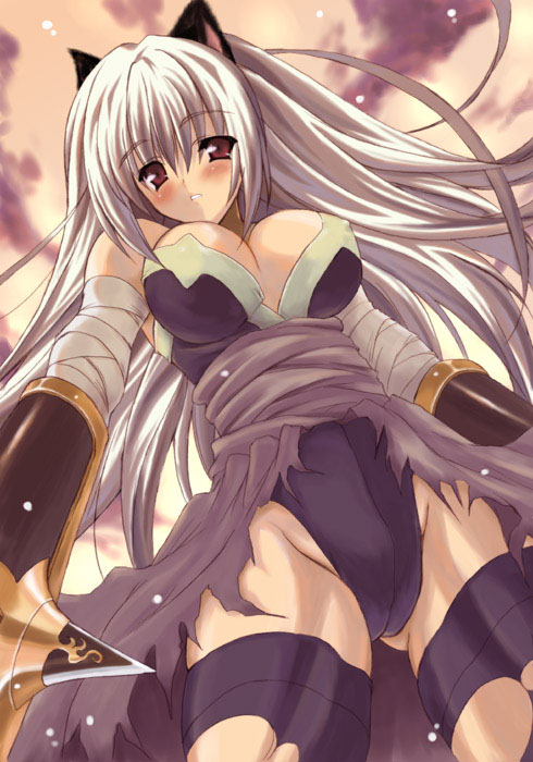 Catgirl Assassin – Torn Pantyhose and Red-Eyed Breasts (Ragnarok Online)