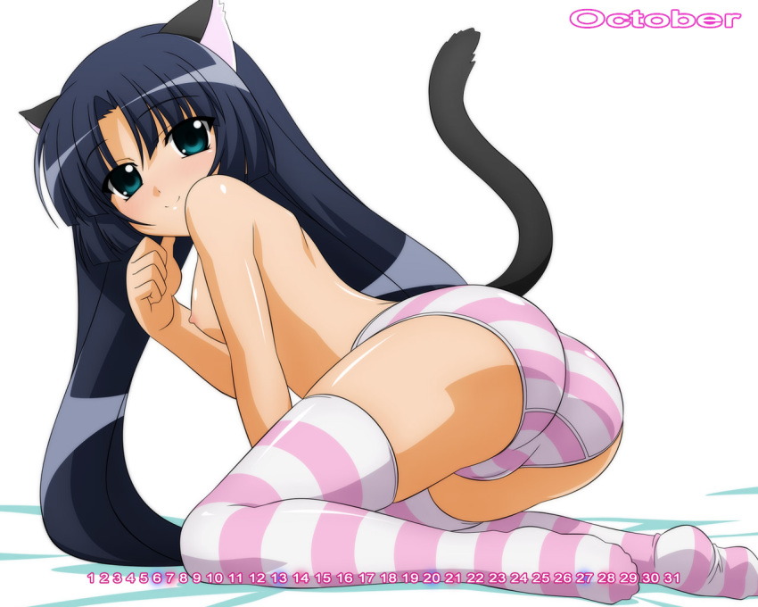 Sexy Cat Ears Feline with Tail and Long Hair