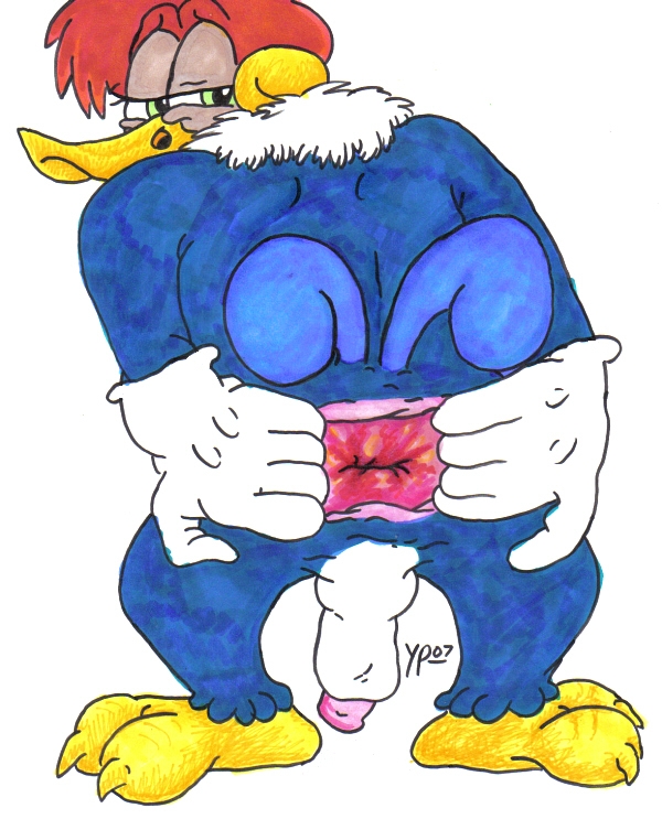 Anthro Furry Goatse: The Woody Woodpecker Show