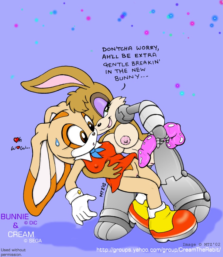 Sonic’s Rabbit Rampage: Bunnie’s Bunnies Bonk