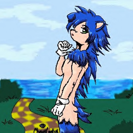 Sonic Blue: Sonic’s Furry Adventure