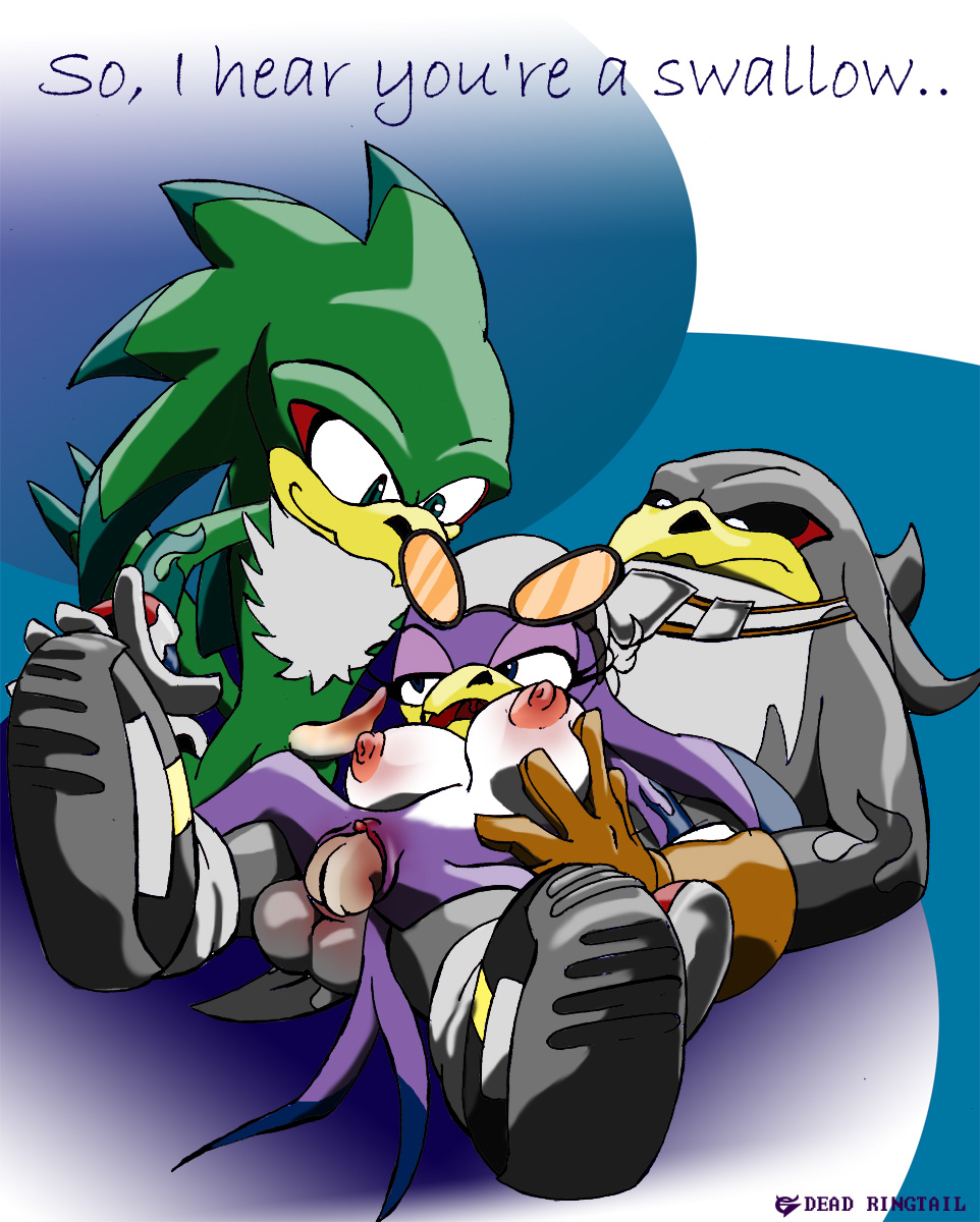 Sonic’s Deadly Ride: Hawk and Sonic’s Wild Sexcapade