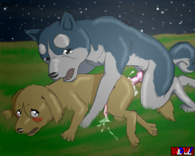 Feral Canid’s Silver Fang: Danger in the Ginga Nagareboshi