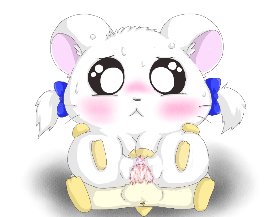 Anal Artist’s Request: Hamtaro’s Bijou Blush