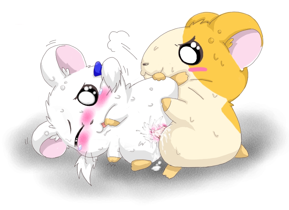 Hamtaro’s Anal Artistry – Blushing Bijou Requests a Hamtaro-Penetrated Pussy.