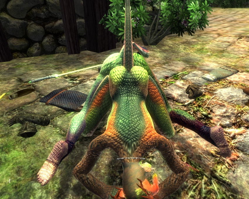 Argonian Scalies in Oblivion: Unleashing Dar-Ma’s 3D Anthro Mod