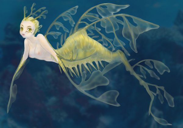 Breast of the Leafy Seadragon – Yellow Eyes’ Tagme