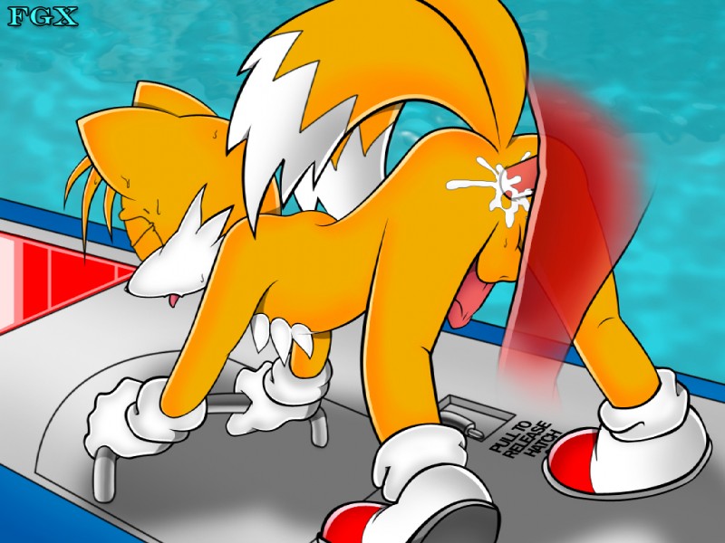 Sonic’s Mammalian Echidna Mates – A Tail-y Yaoi Adventure!