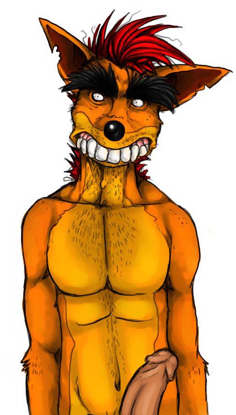 Anthro Arody Bandicoot’s Erect Penis