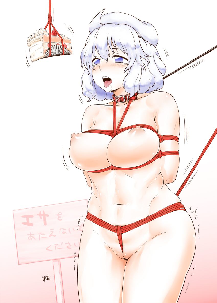 Touhou’s Lefty Tease – Bondage Cake Tie!