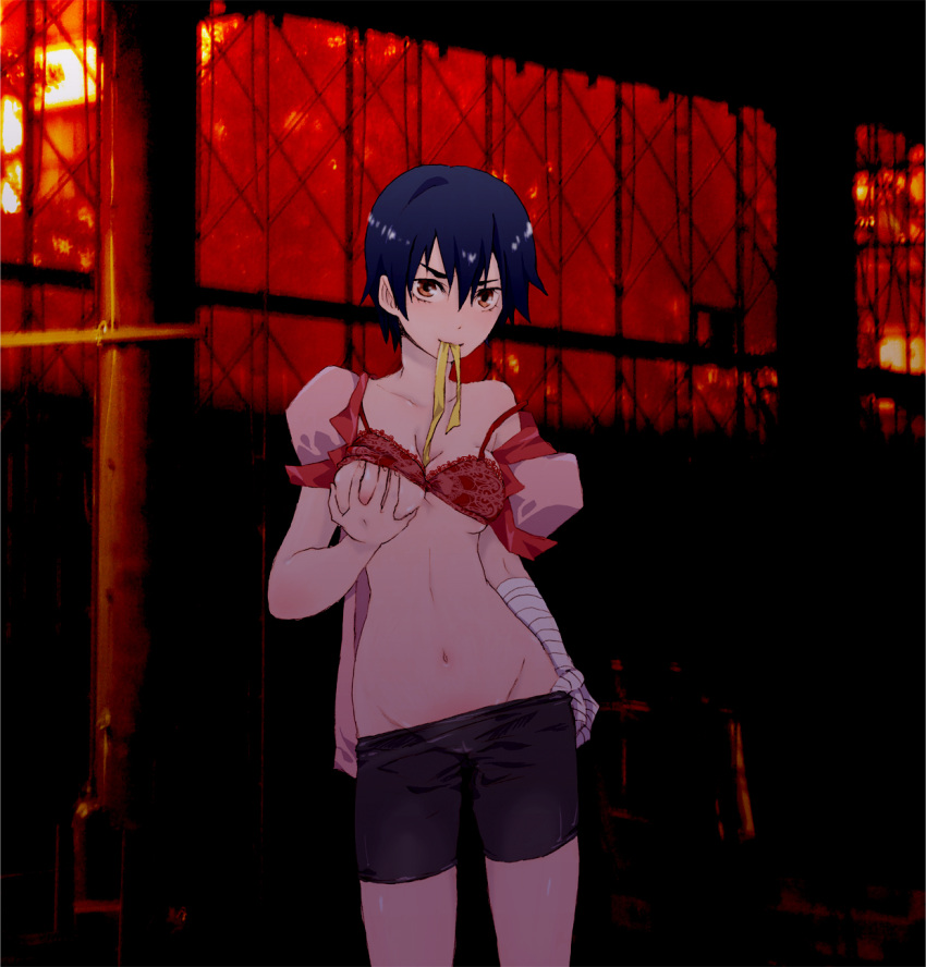 Bakemonogatari: Unwrapping the Bandage Queen’s Bra-Lift Breasts