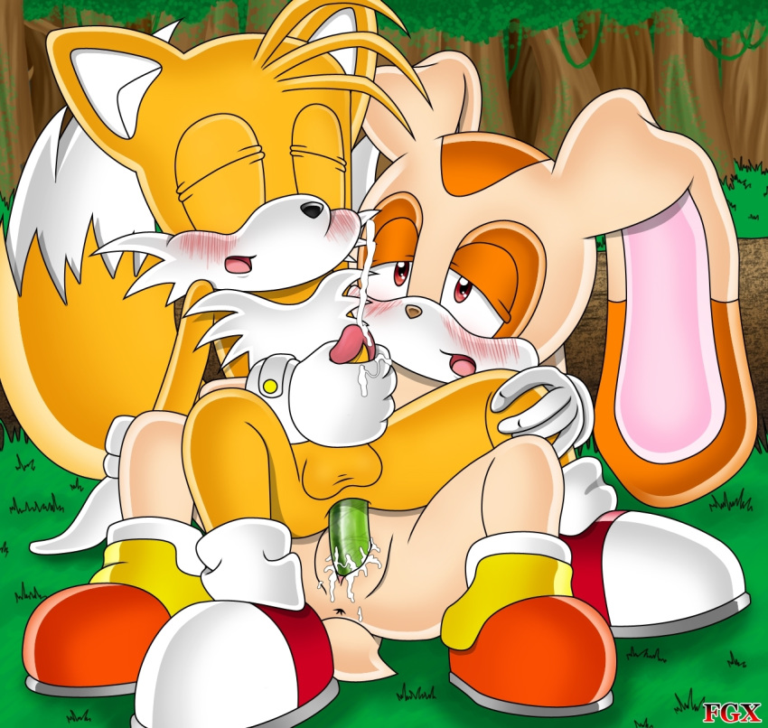 Sonic’s Rabbit Cream Session: Furry Tail-Based Delights!