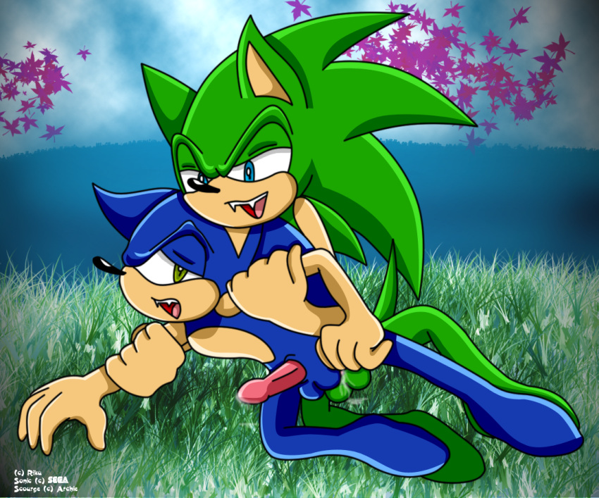 Sonic’s Blue Hedgehog Nudes: Scourge’s Gay Anthro Mammal Furry Sonic Porn Tag