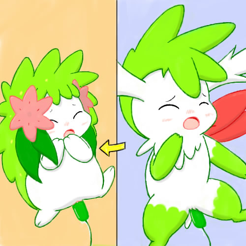 Feral Flower’s Shaymin Takes a Vibrant Ride