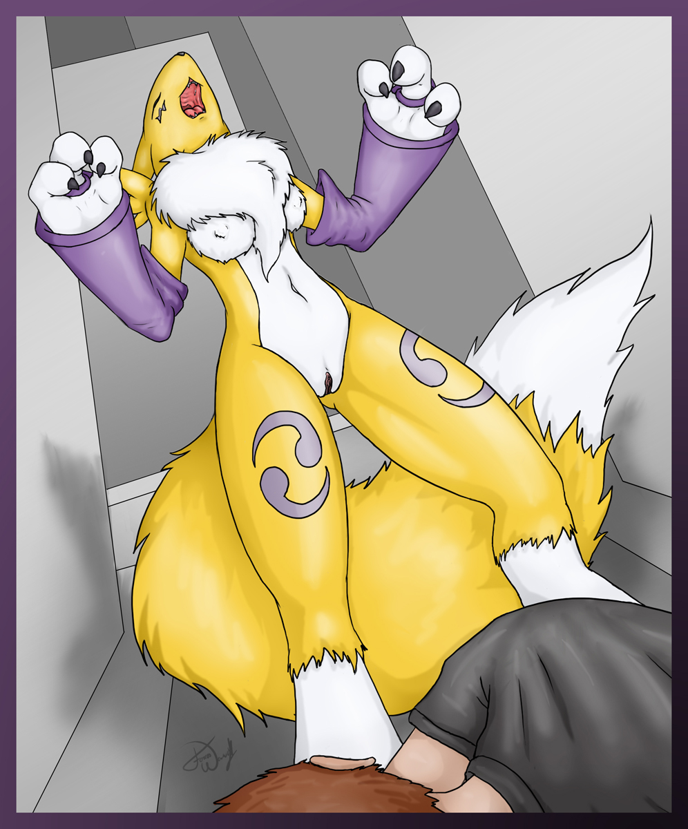 Furry Intrigue: Renamon’s Wild Nights