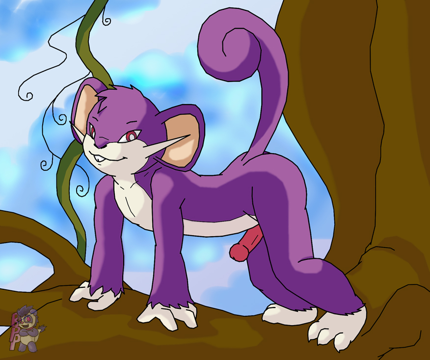 Poké-Purrfection – Raised Tail in the Forest with Rattata