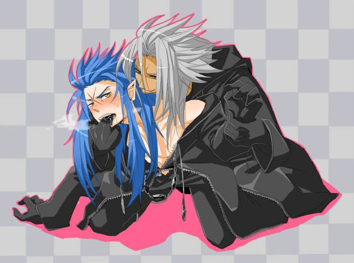 Disney Kingdom Hearts Yaoi: Xemnas and Saix’s Glove-Free Love.