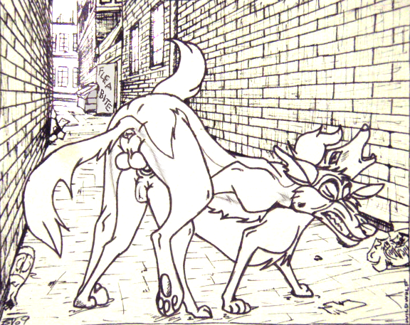 Charlie’s Barking Anal Adventure – The Feral Pup and the Brick Wall.