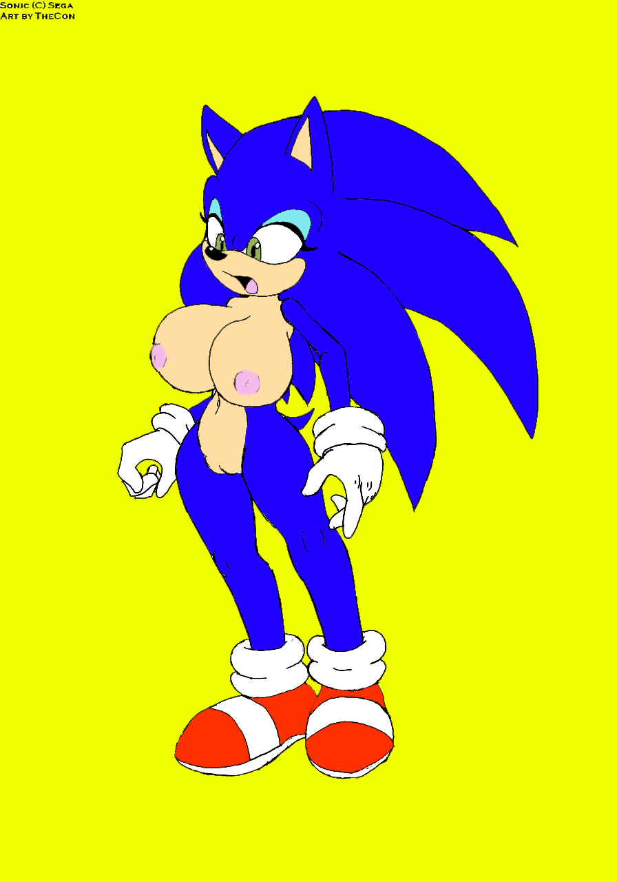 Sonic the Hedgehog – Rule 63: The Naughty Anthro Breasts Mammal