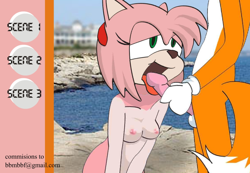 Amy Rose’s Anthropomorphic Abilities – Tailing the Sonic Series with Furry Fellatio and Nipple Oral.