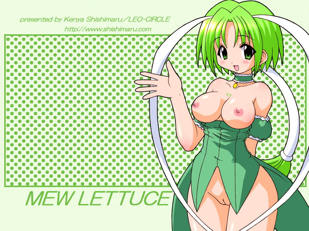 Midorikawa’s Lettuce Stuffer: The Tokyo Mew Mew Experience